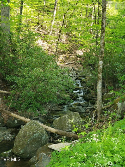 Photo #12: 190 Big Cove Creek Road