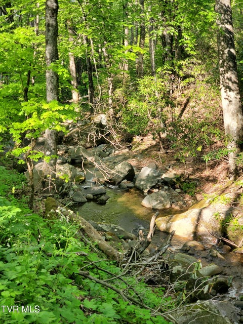 Photo #13: 190 Big Cove Creek Road