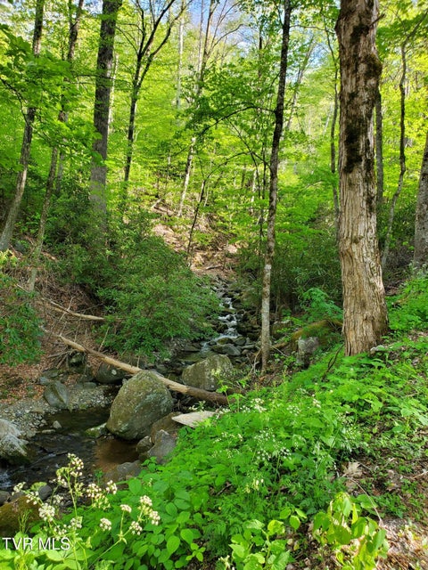 Photo #11: 190 Big Cove Creek Road