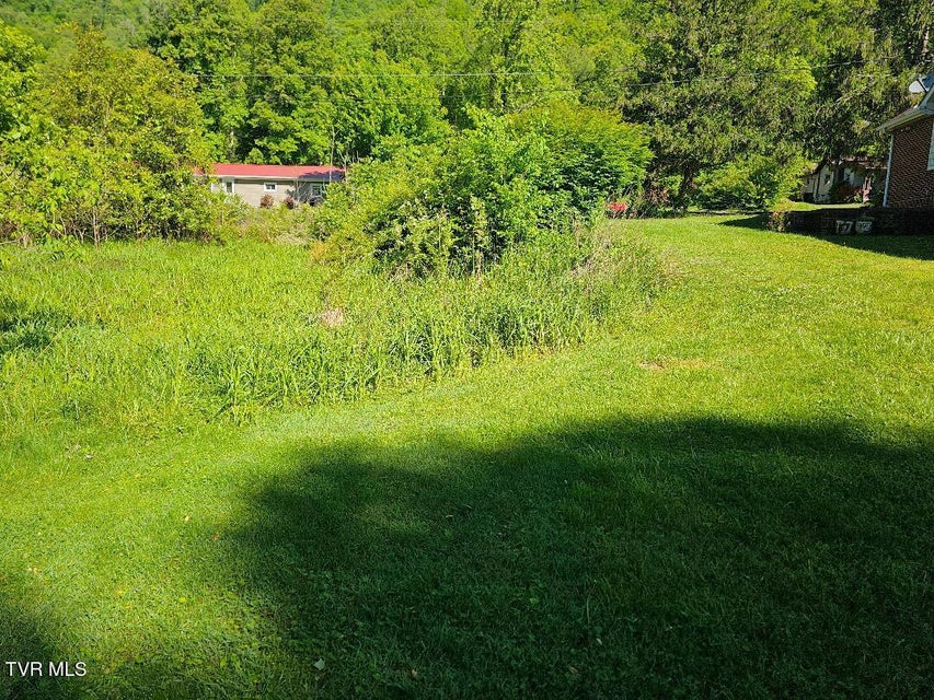 Photo #46: 2536 Orr Street