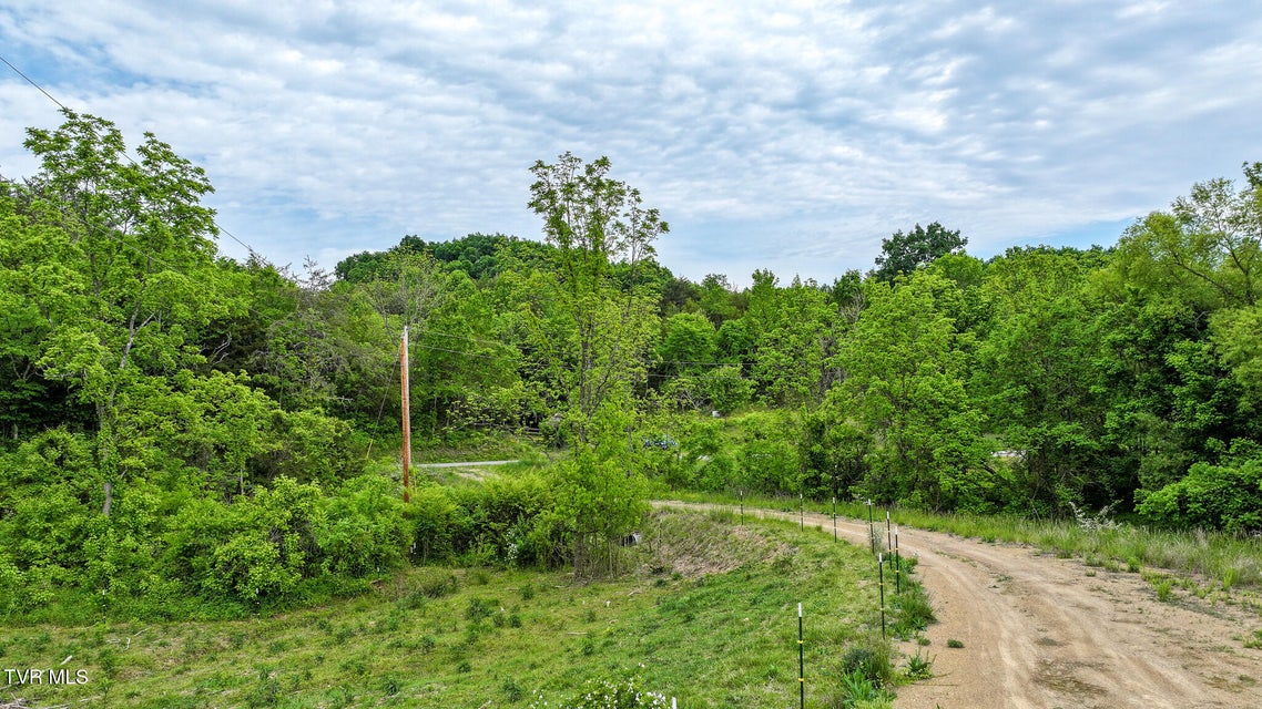 Photo #8: Lot 0 Hilldale Road