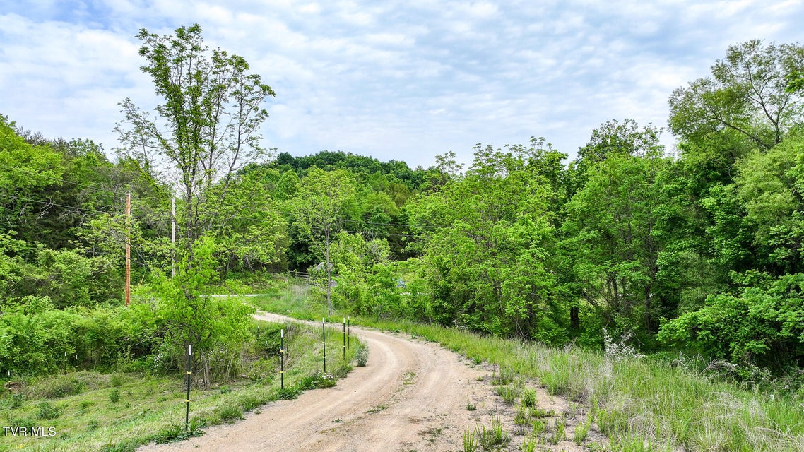 Photo #12: Lot 0 Hilldale Road