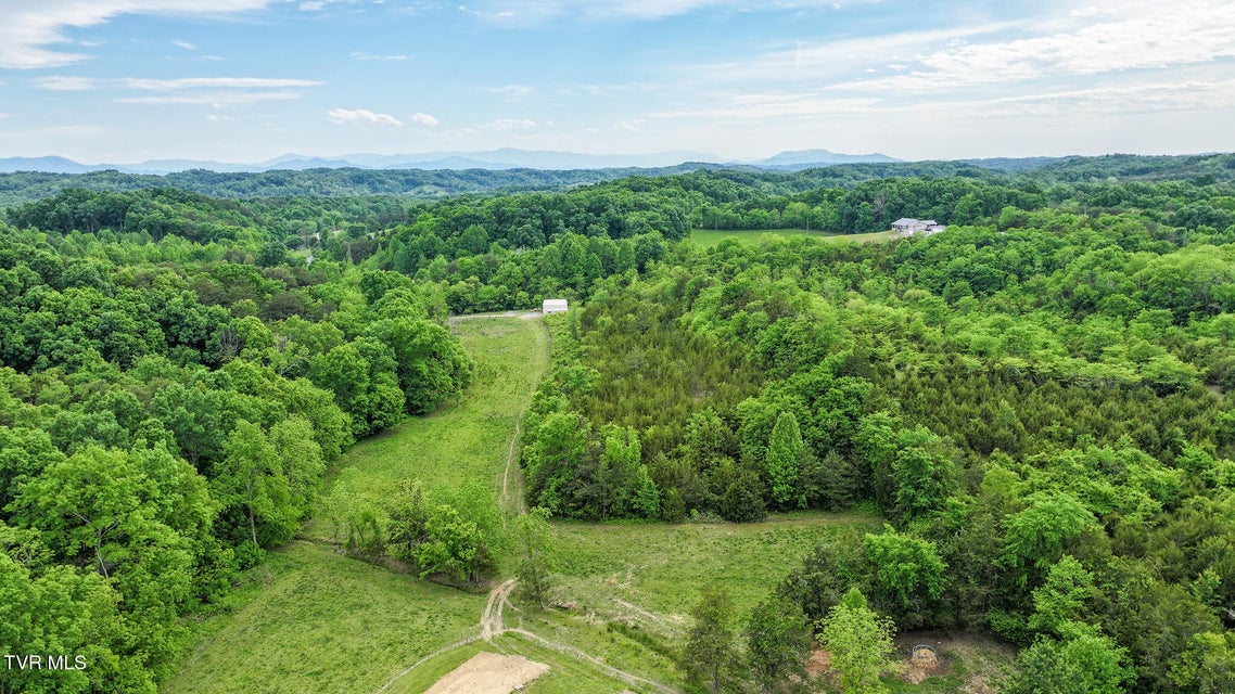 Photo #14: Lot 0 Hilldale Road