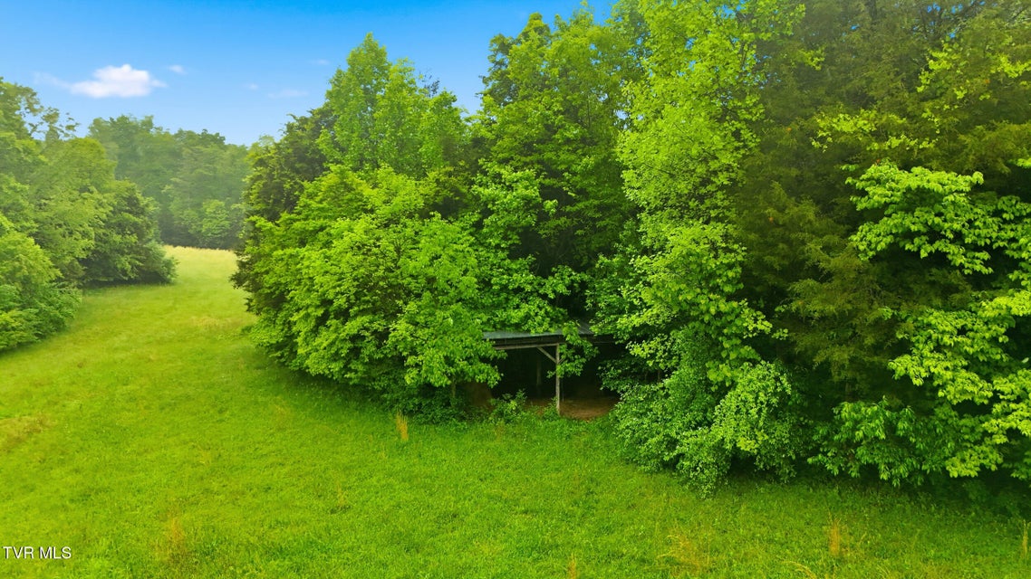 Photo #33: 3081 Ervintown Road