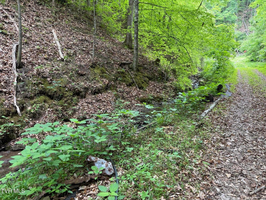 Photo #6: Tbd Highway 66 