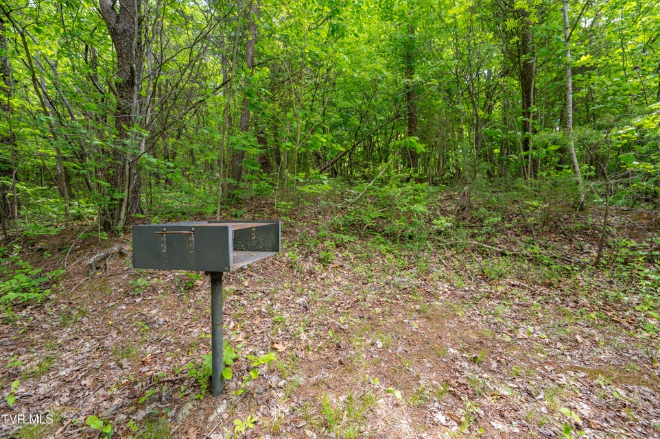 Photo #54: 110 Charles Smith Road