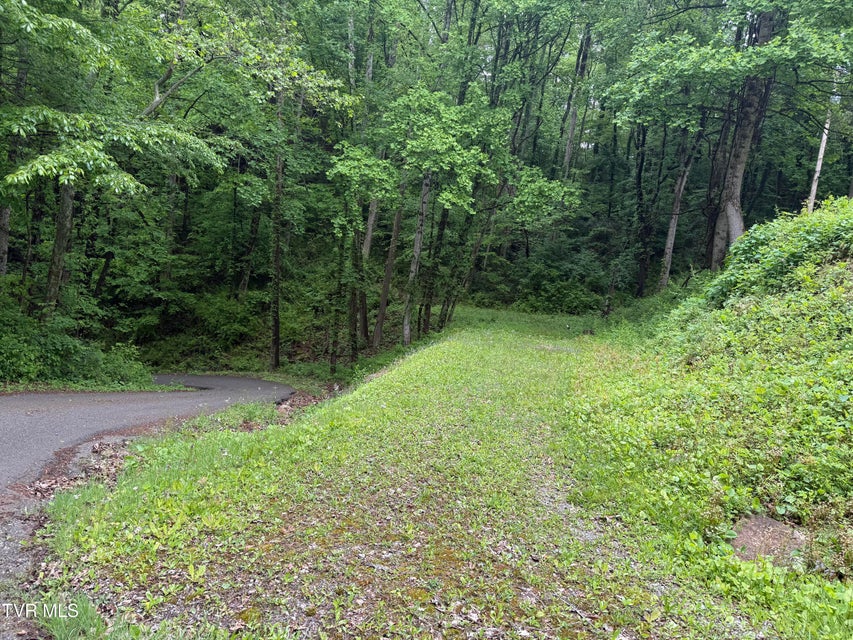Photo #5: 345 Hamblen Street
