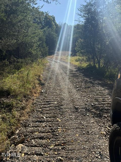 Photo #4: Tbd Buncombe Road