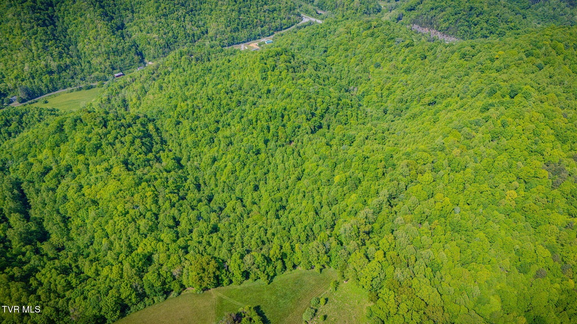 Photo #8: 000 Fairview Road