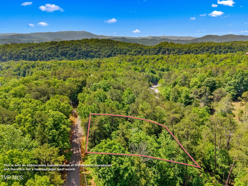 Photo #6: 1737 Blue Ridge Road