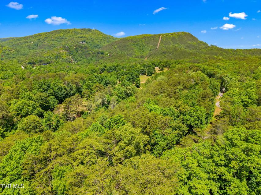 Photo #24: 1737 Blue Ridge Road