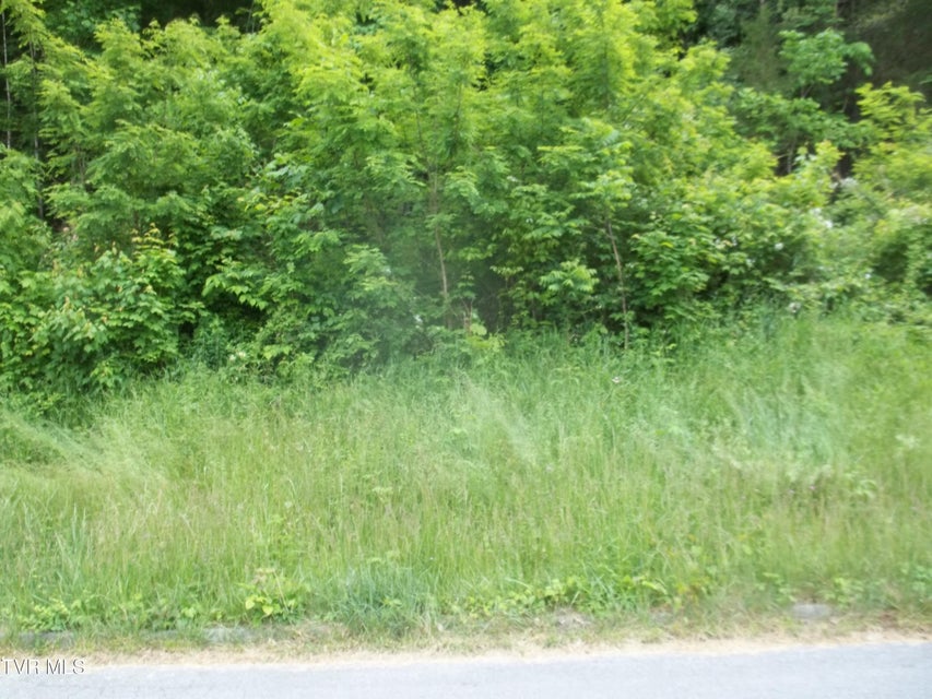 Photo #2: 441 Creekside Drive