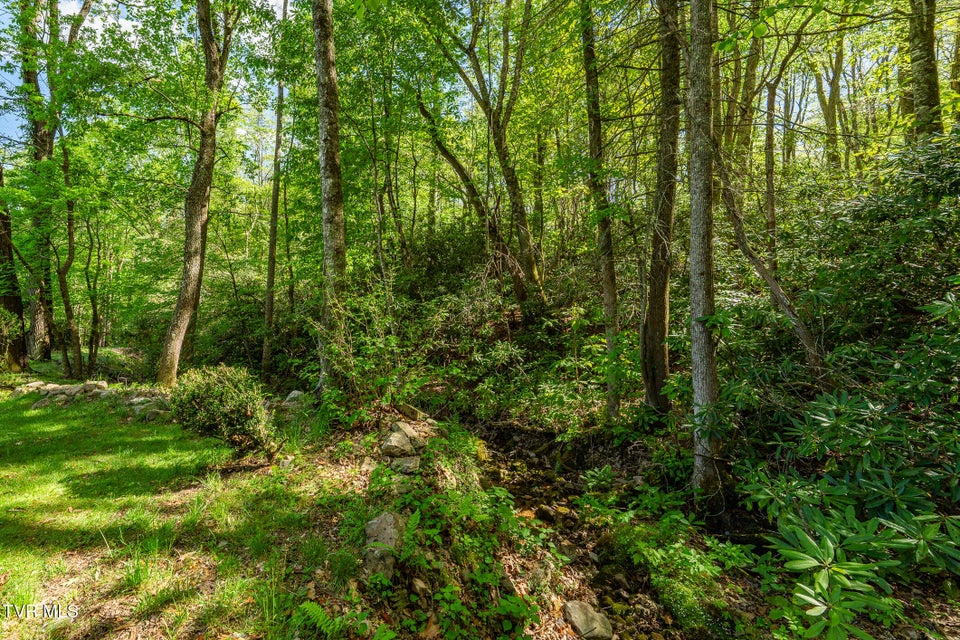 Photo #74: 151 Stonebridge Lane