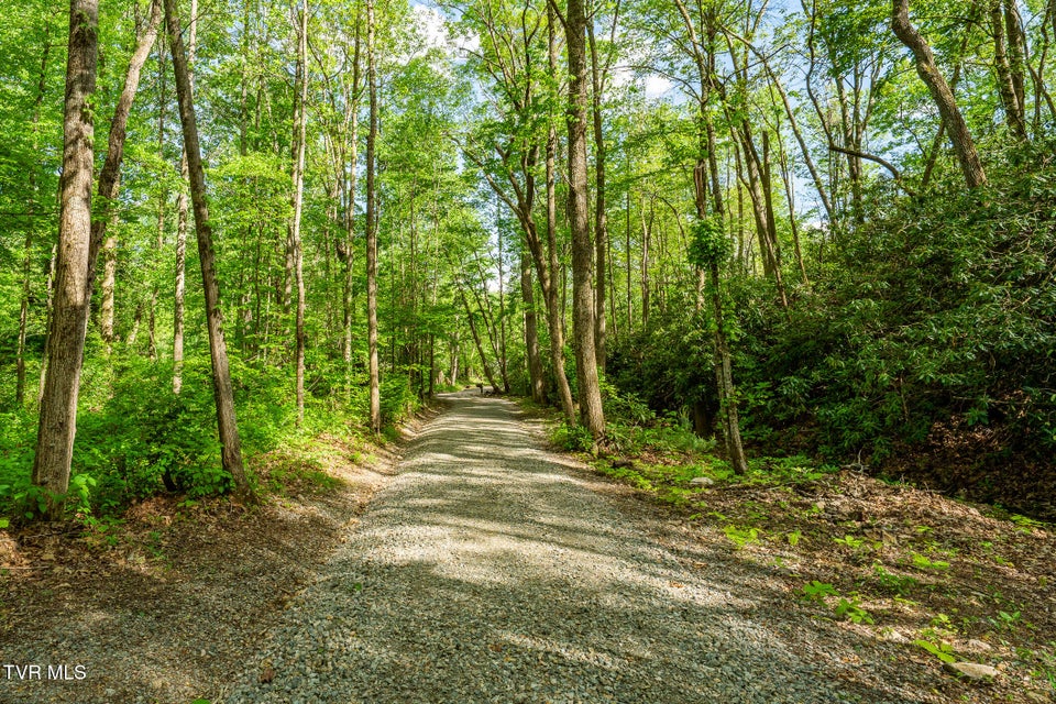 Photo #88: 151 Stonebridge Lane