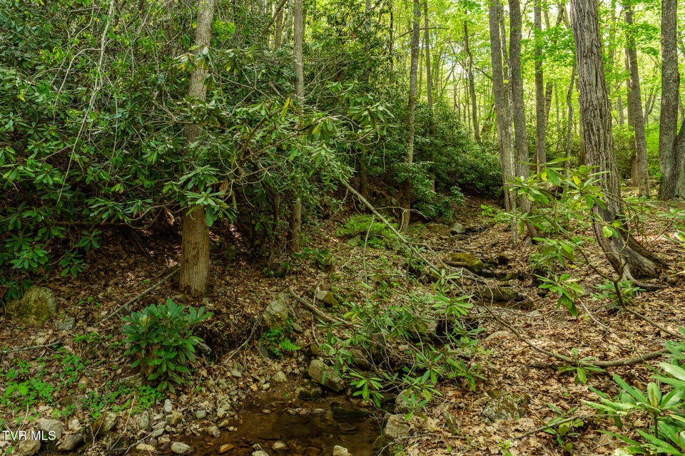 Photo #89: 151 Stonebridge Lane