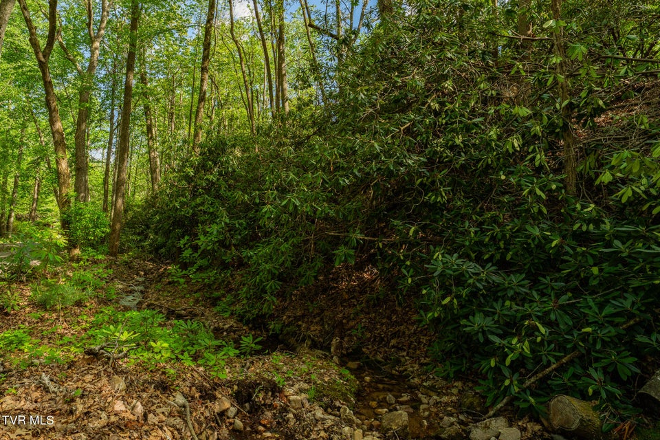 Photo #90: 151 Stonebridge Lane