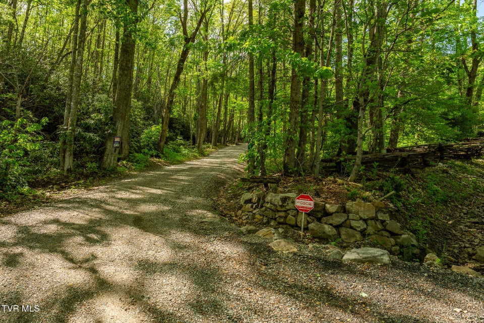 Photo #91: 151 Stonebridge Lane