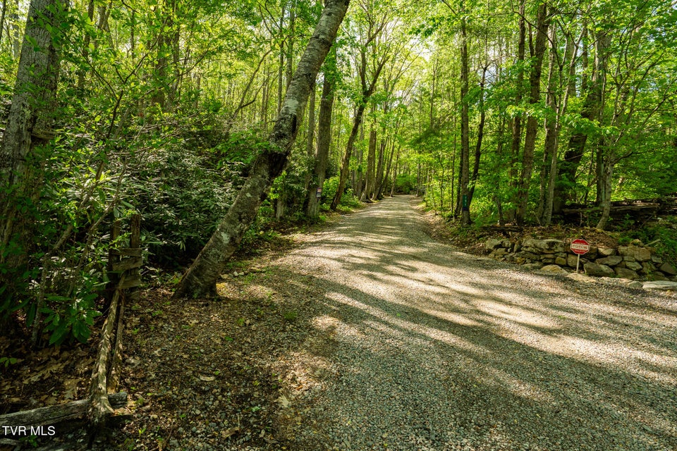 Photo #92: 151 Stonebridge Lane