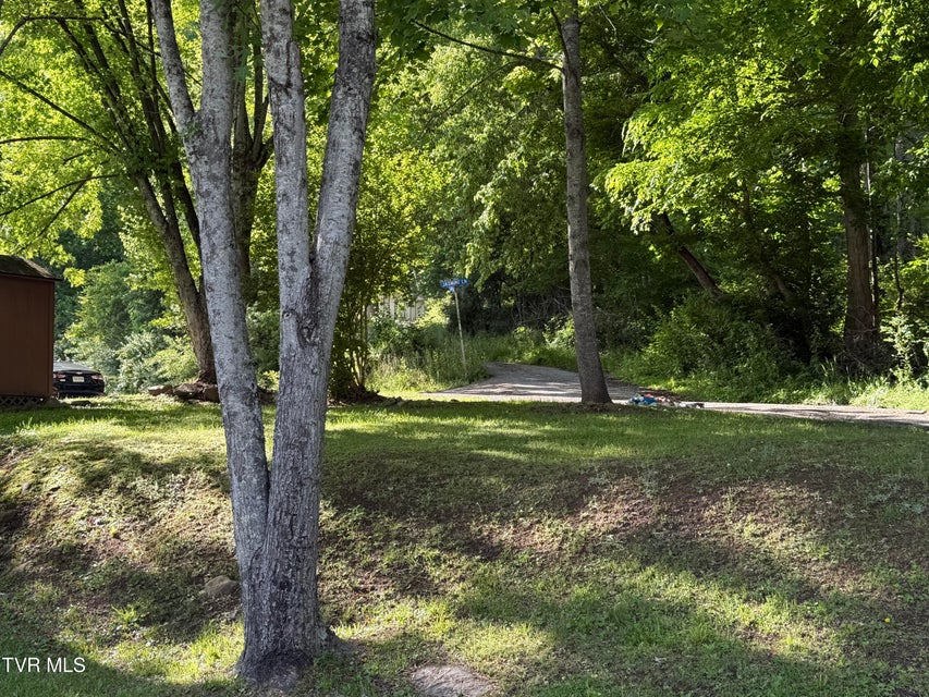 Photo #8: 207 Garland Loop