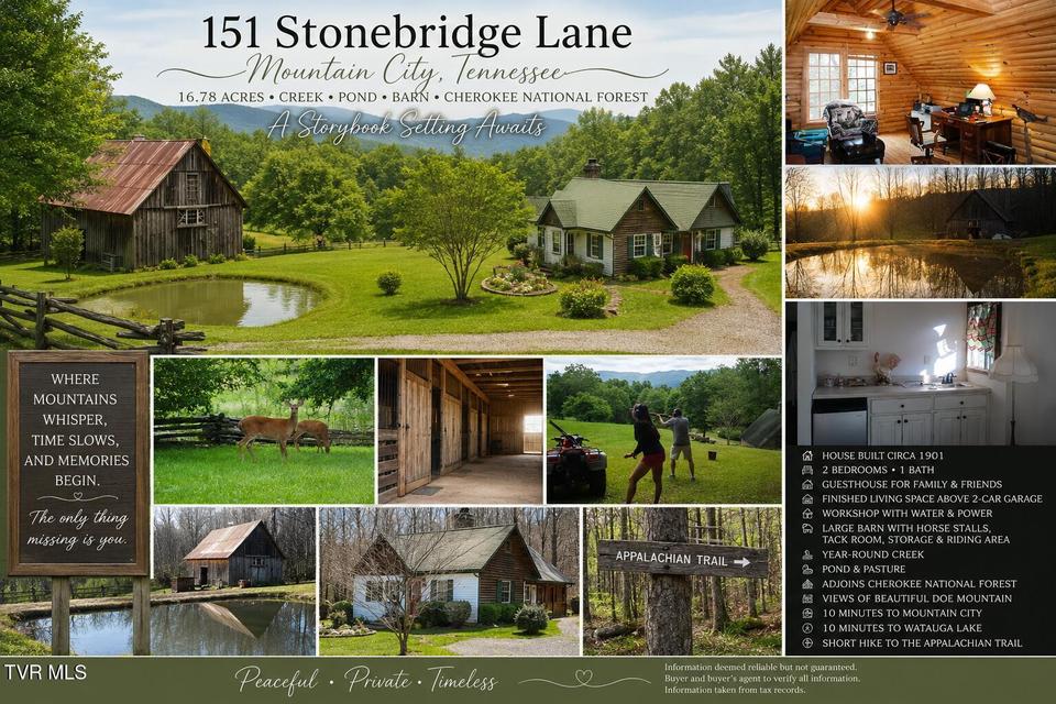Photo #7: 151 Stonebridge Lane