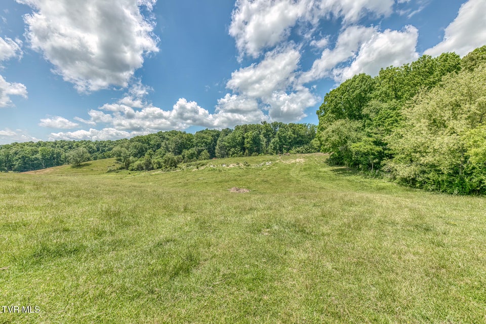 Photo #11: 705 Highway 44 