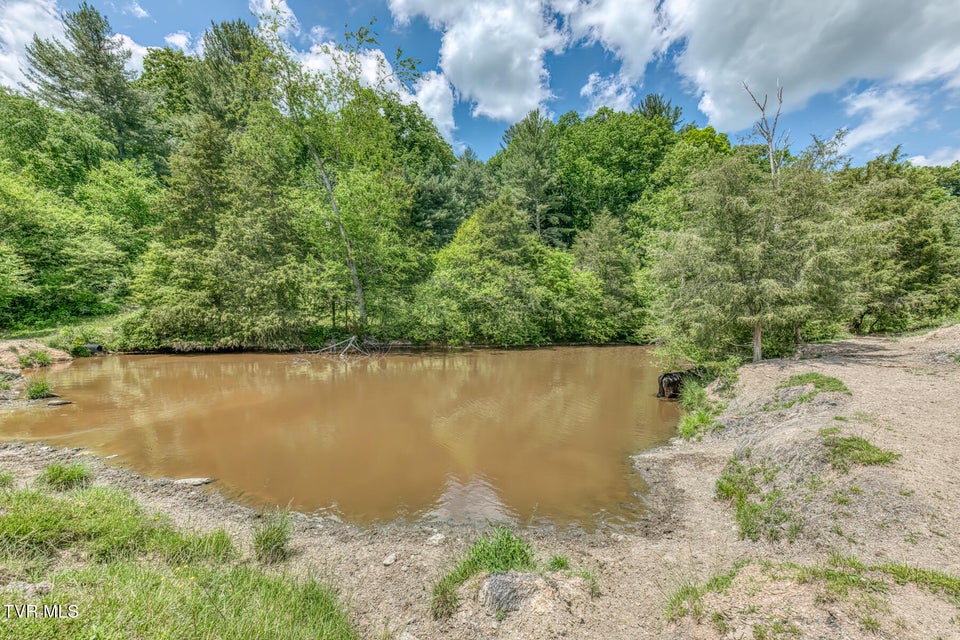 Photo #17: 705 Highway 44 