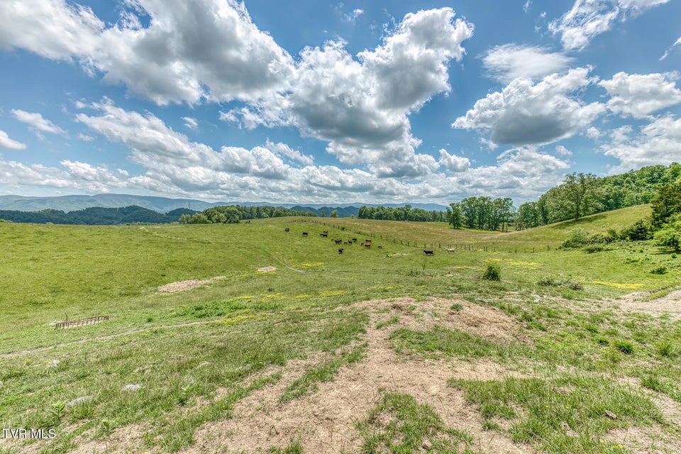 Photo #18: 705 Highway 44 