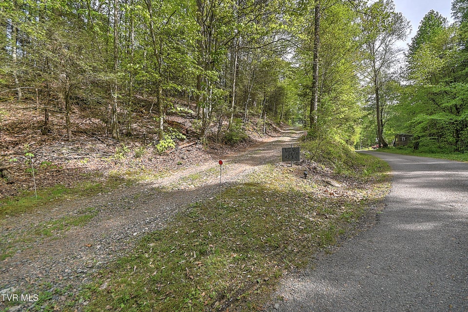 Photo #75: 423 Pandora Fork Road