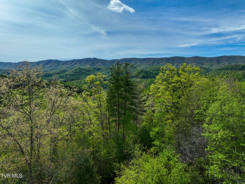 Photo #88: 423 Pandora Fork Road