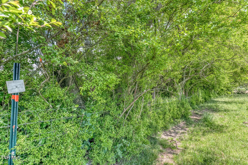 Photo #9: 741 Highway 44 