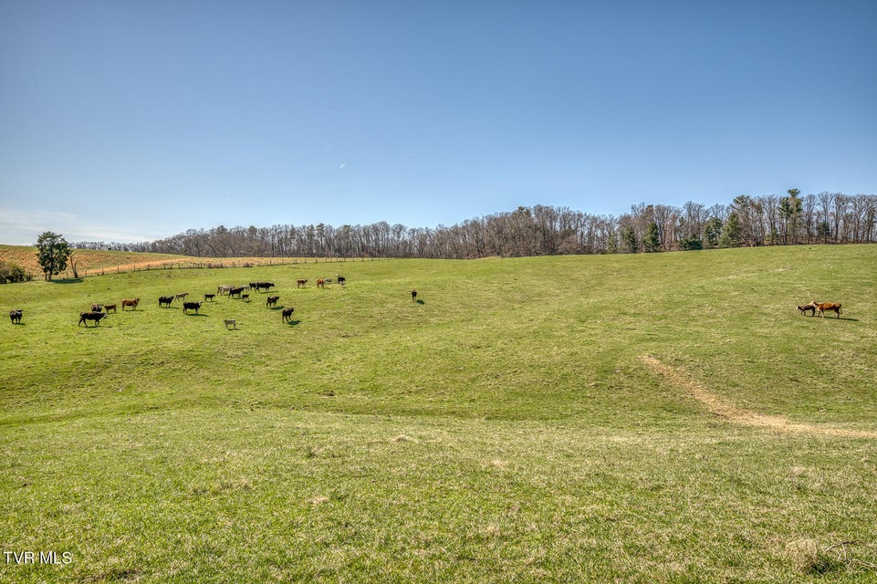 Photo #25: 705 Highway 44 