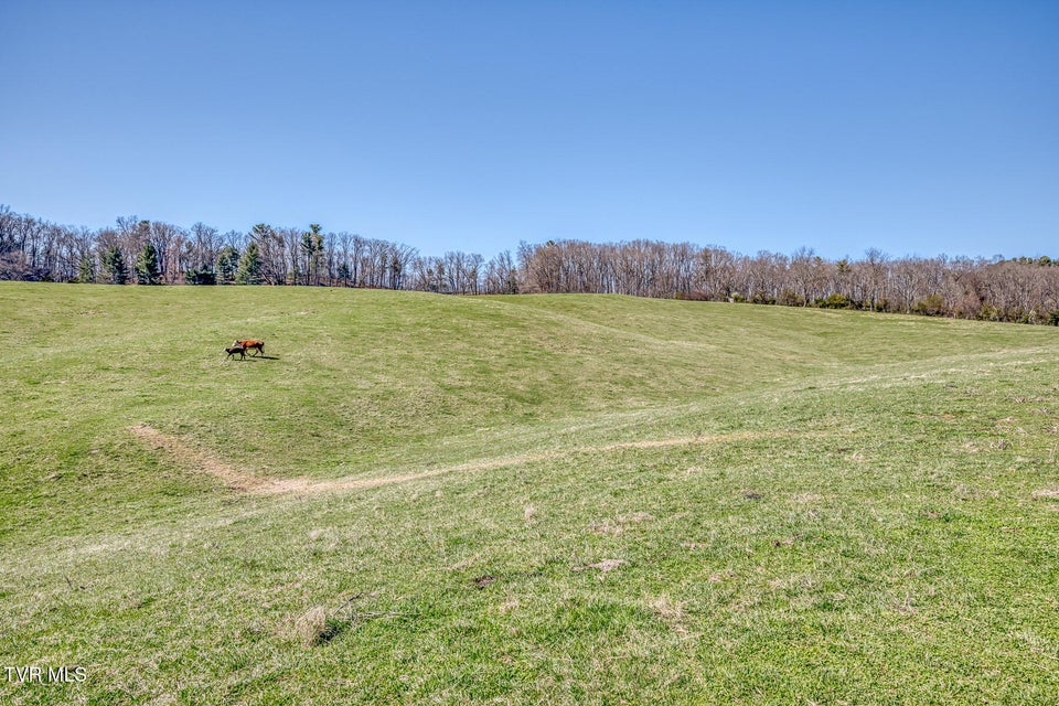 Photo #26: 705 Highway 44 