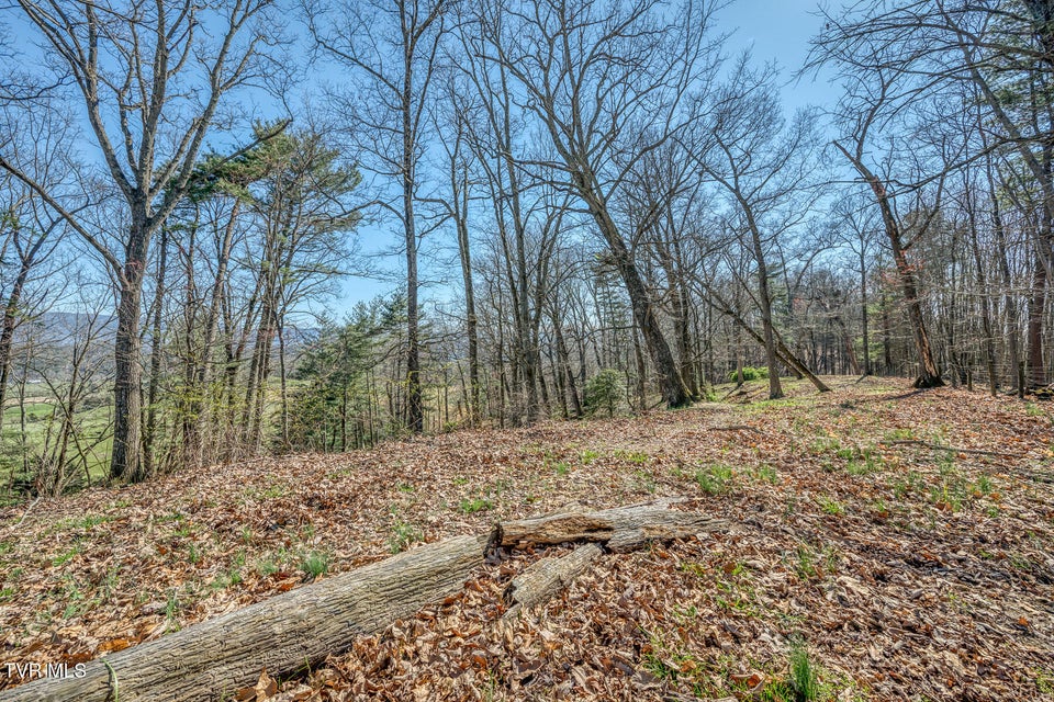 Photo #34: 705 Highway 44 