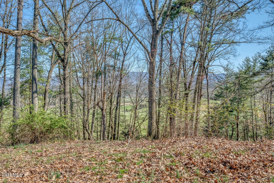 Photo #35: 705 Highway 44 