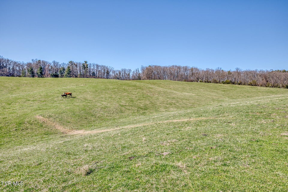 Photo #15: 741 Highway 44 
