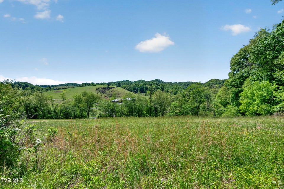 Photo #3: 12392 Rich Valley Road