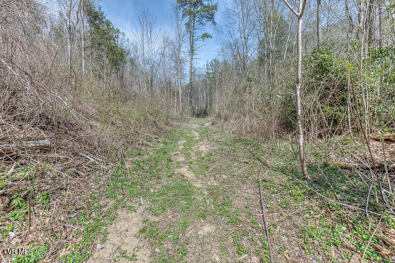 Photo #8: 155 Tower Road