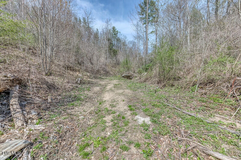 Photo #9: 155 Tower Road