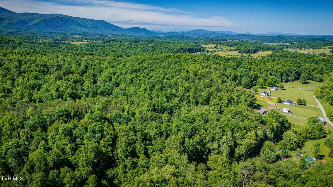 Photo #31: 1285 Frank Roberts Road