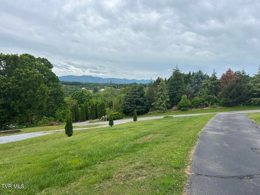 Photo #43: 1130 Hixson Avenue