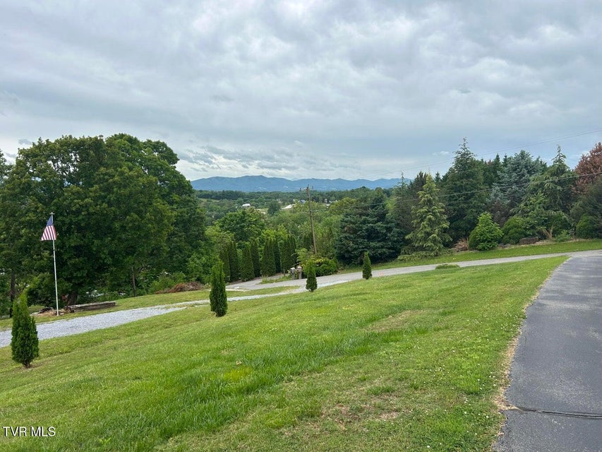 Photo #44: 1130 Hixson Avenue