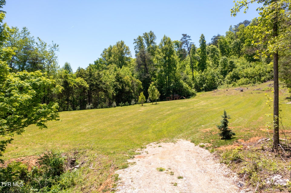 Photo #5: 882 Walnut Grove Road