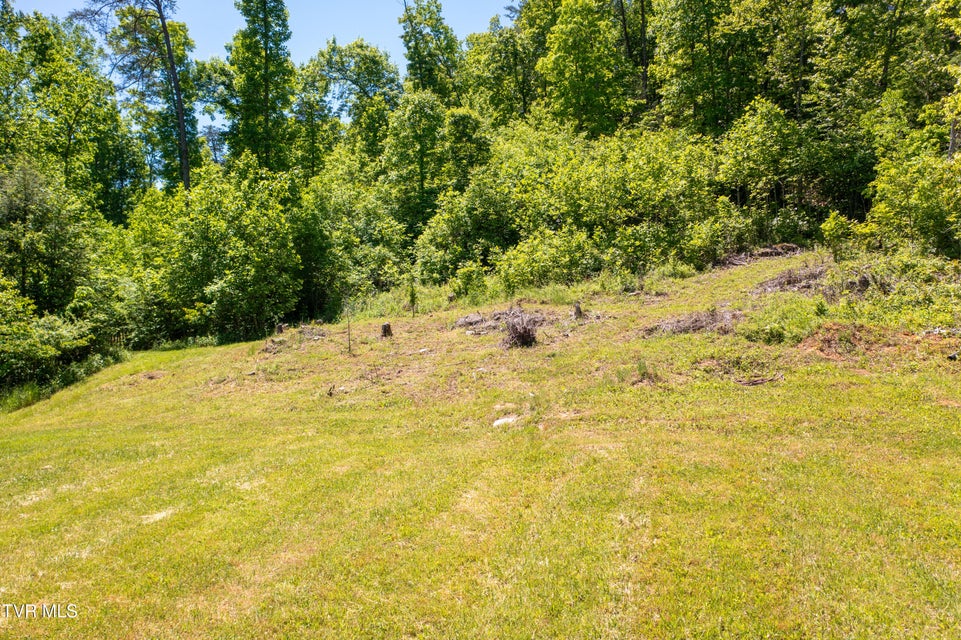 Photo #9: 882 Walnut Grove Road