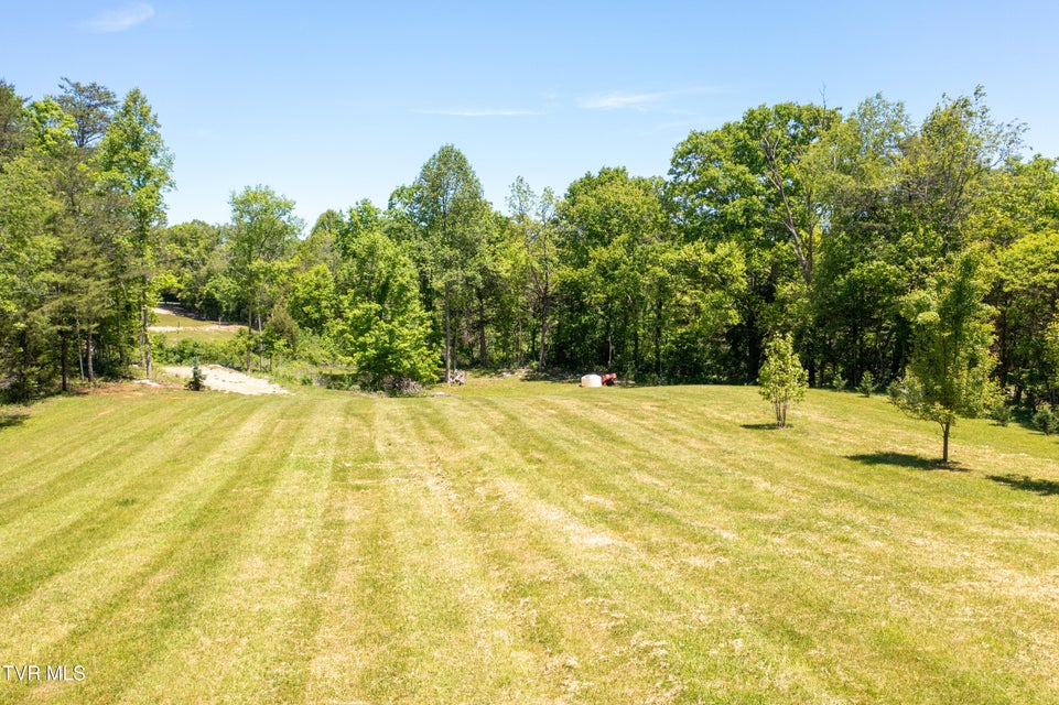Photo #11: 882 Walnut Grove Road