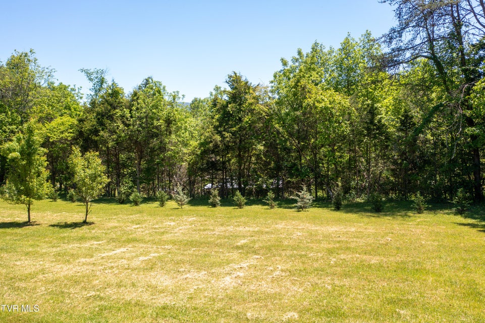 Photo #12: 882 Walnut Grove Road
