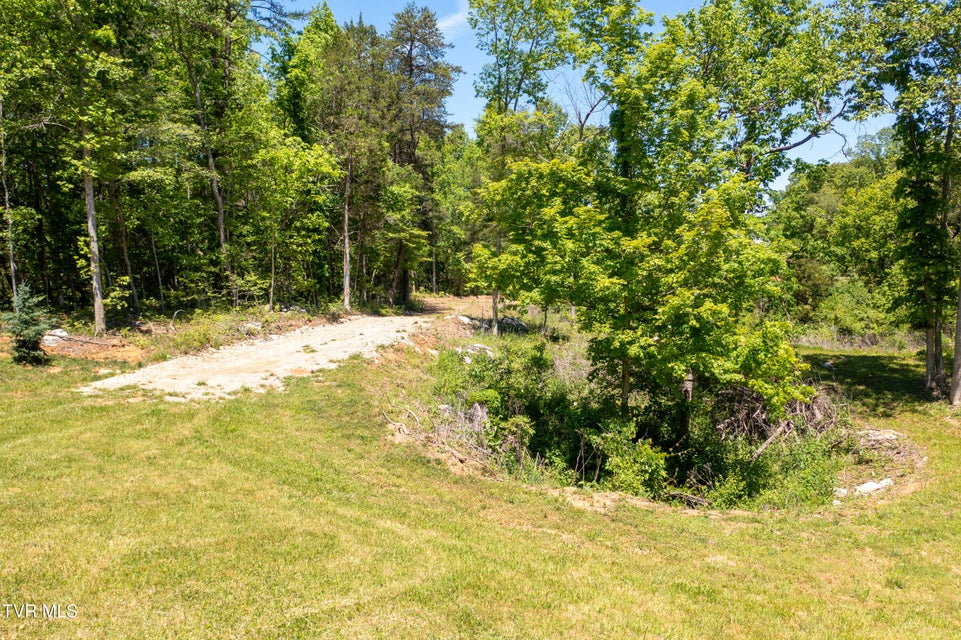 Photo #16: 882 Walnut Grove Road