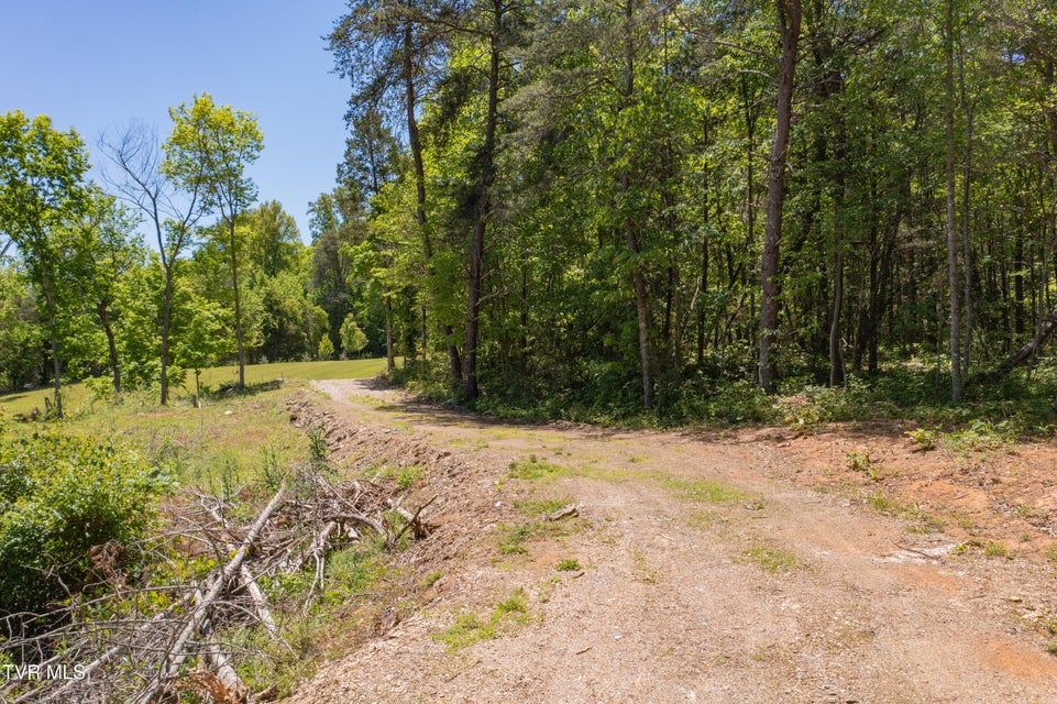 Photo #32: 882 Walnut Grove Road