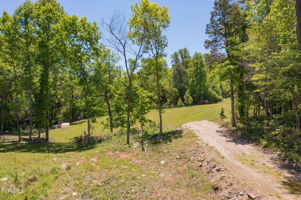 Photo #33: 882 Walnut Grove Road