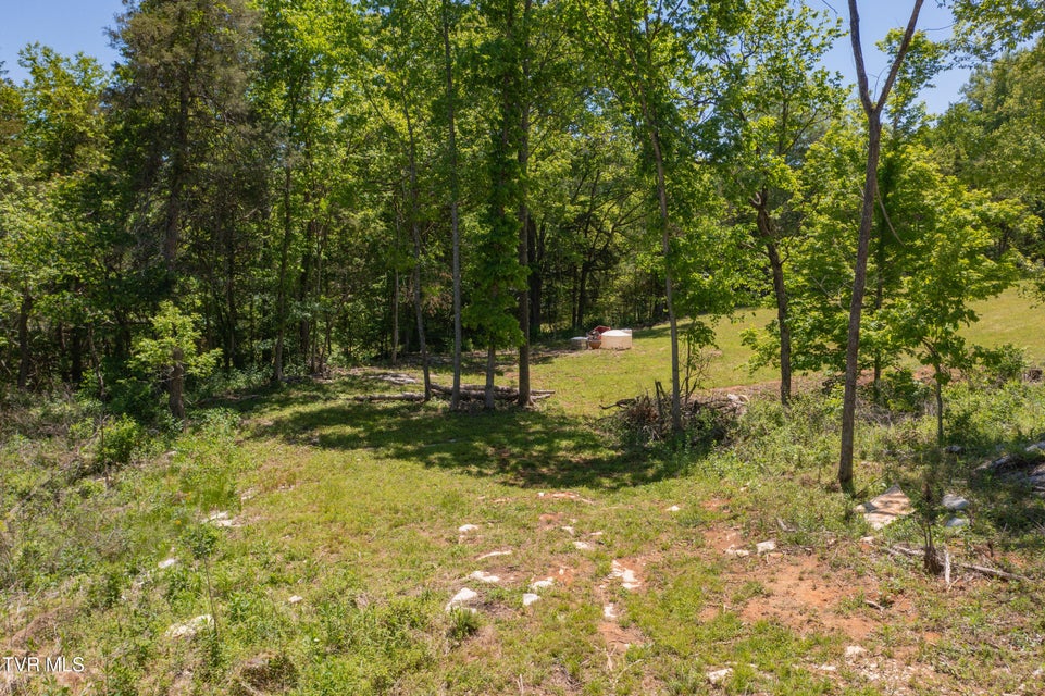 Photo #34: 882 Walnut Grove Road