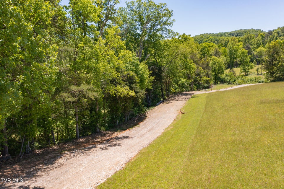 Photo #39: 882 Walnut Grove Road